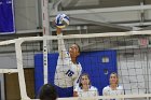 VB vs Gordon  Wheaton Women's Volleyball vs Gordon College. - Photo by Keith Nordstrom : Wheaton, Volleyball